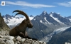 Préalpes gruériennes